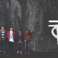 The-Carpels1