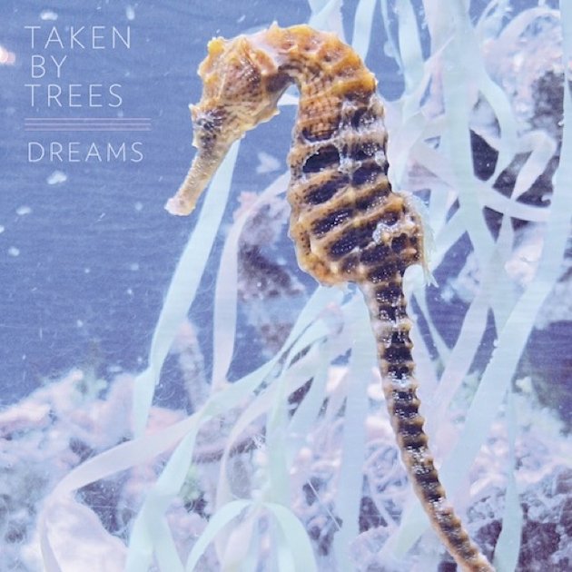 Taken-By-Trees-Dreams