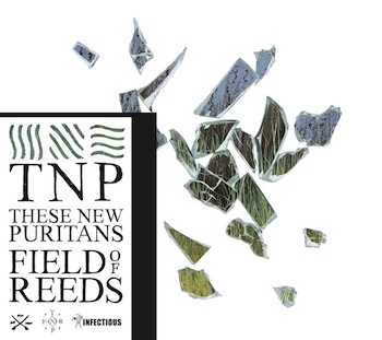 These New Puritans - Fields Of Reeds