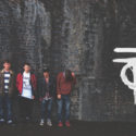The-Carpels1