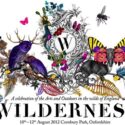 Wilderness-Festival